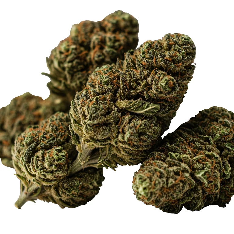 Super Skunk Indoor Hidropónica de Grow Weed Center
