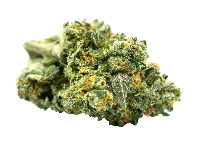 Genética CBD Indoor Tutti Frutti de Grow Weed Center
