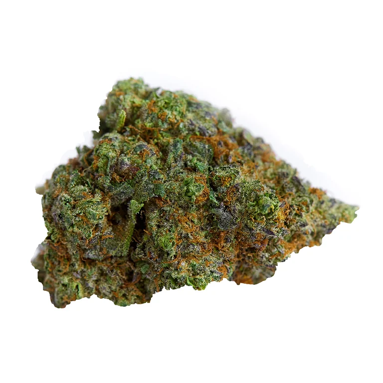 CBD Critical Bilbo de Grow Weed Center