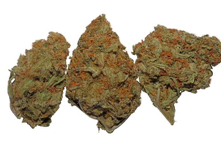 Melon Gum de Grow Weed Center