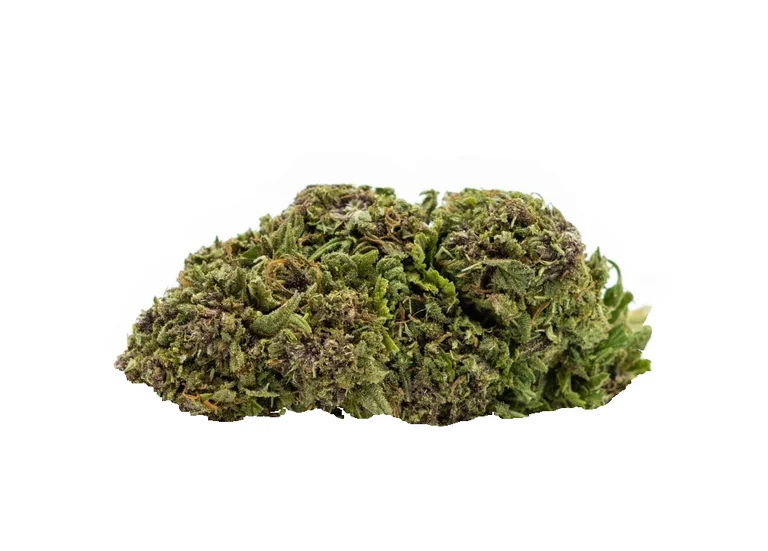 Lemon Haze Indoor CBD de Grow Weed Center