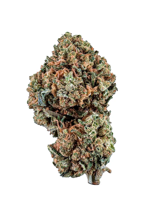 CBD Indoor Gorilla Glue: La potencia y el aroma que buscas de Grow Weed Center