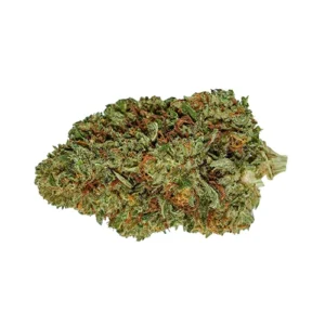 CBD Indoor Gelato – Potencia y Sabor en Equilibrio