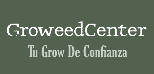 logo main