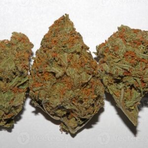 Melon Gum – Explosión de Sabor y Potencia