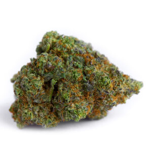 CBD Critical Bilbo – La Genética Europea de Elite