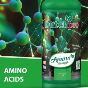 Amino Strength - Aminoácidos Dutchpro