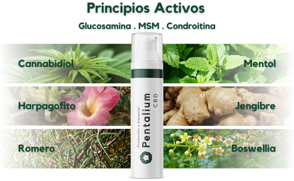 Crema CBD Pentalium 75 - Imagen 4