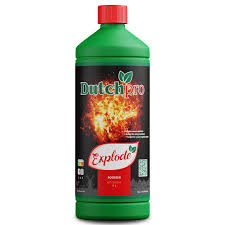Explode Dutchpro
