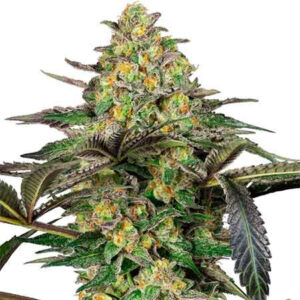 Grapevine candy