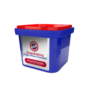 High phos powder