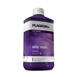 Silic rock