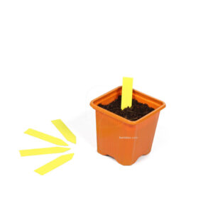 Etiqueta picar amarilla 10 x 2 cm (100 uds)