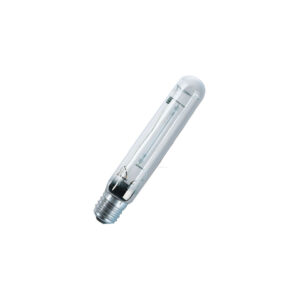 Bombilla plantastar 250 w (12 uds) osram