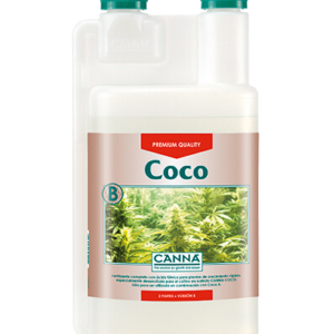 Coco b