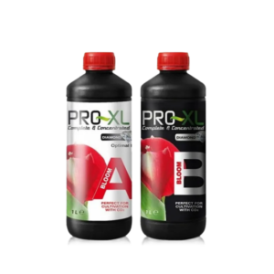 Bloom a&b 1 l pro-xl