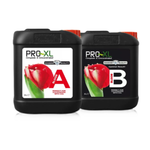 Bloom a&b 5 l pro-xl