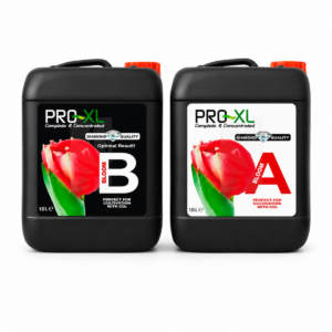Bloom a&b 10 l pro-xl
