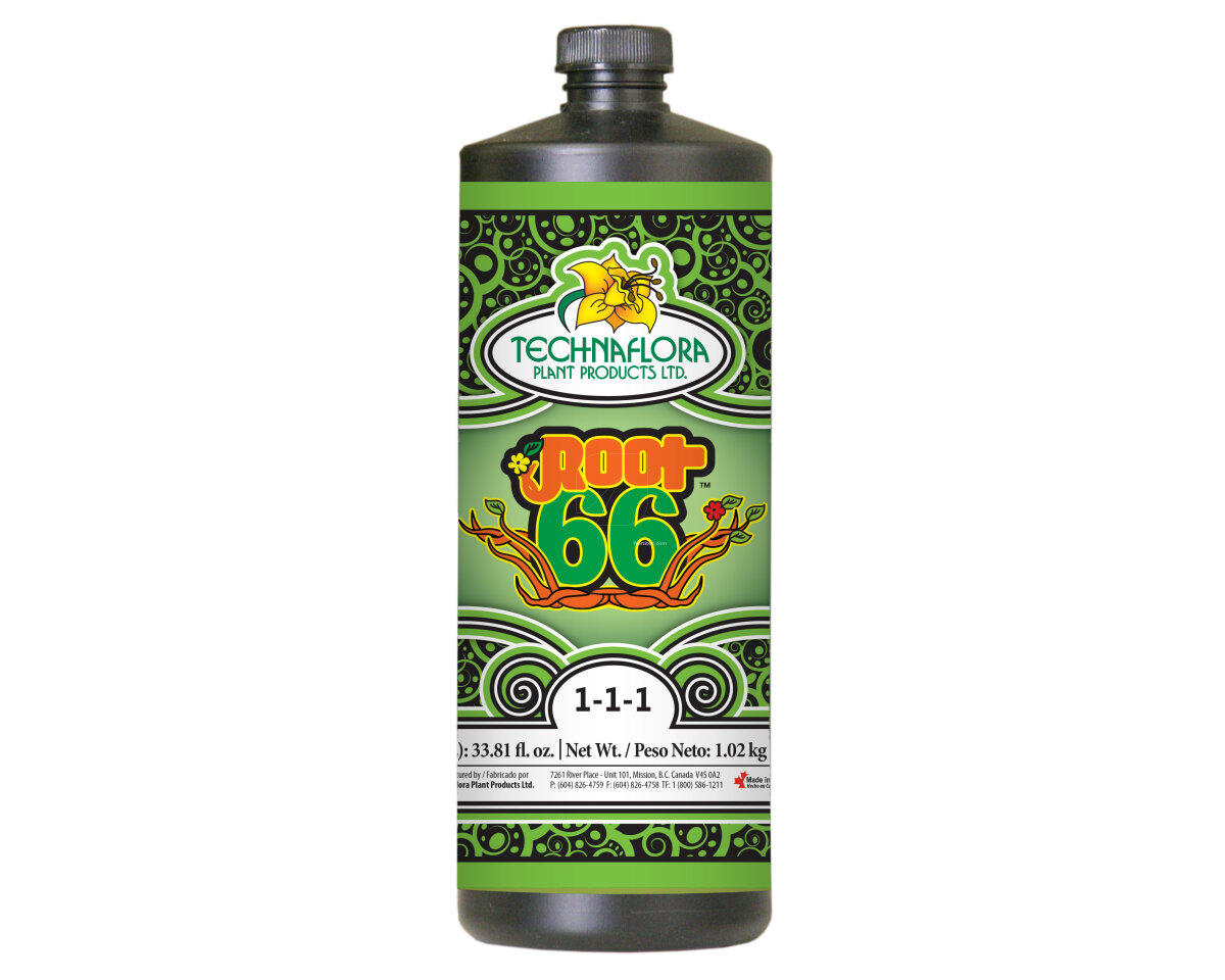 Root 66