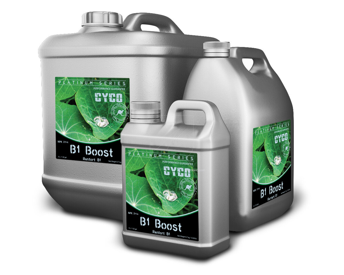 B1 boost cyco
