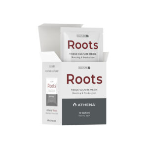 Roots culture media (10 sobres )