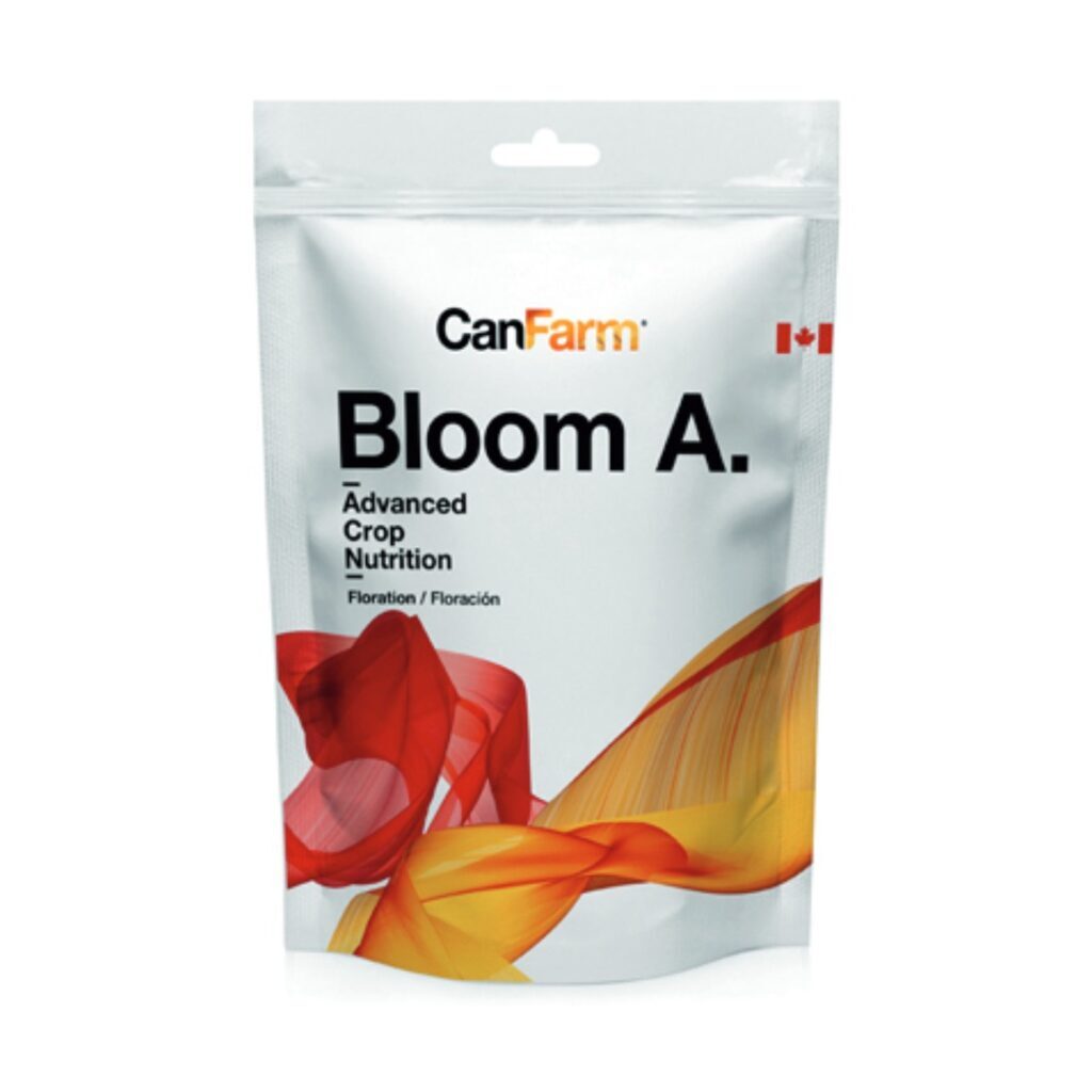 Dry bloom a