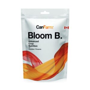 Dry bloom b
