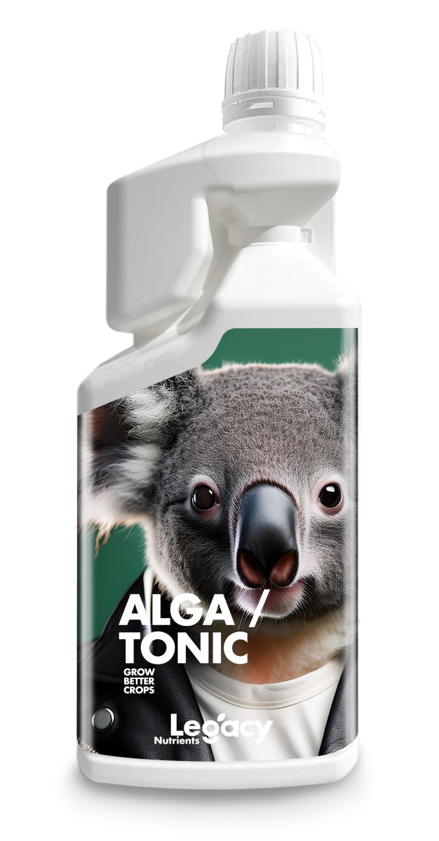 Alga tonic