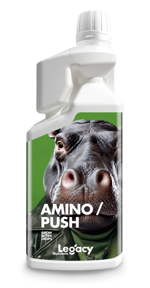 Aminopush