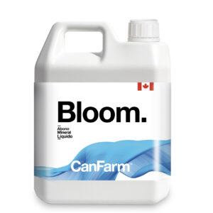 Bloom