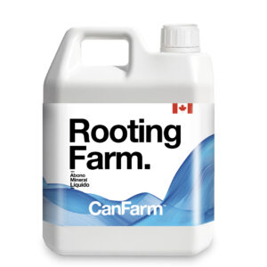 Rooting farm