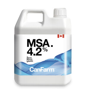 Msa 4,2%