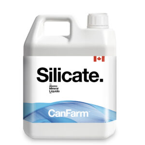 Silicate 25%
