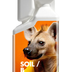 Soil b