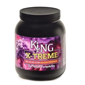 King x-treme