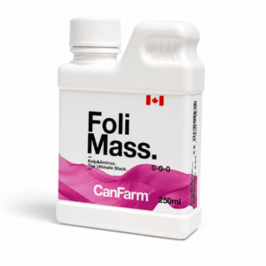 Folimass