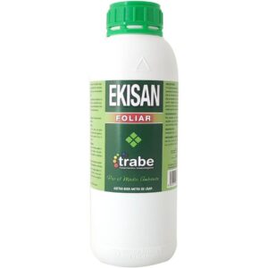 Ekisan cola de caballo
