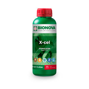 Bn x-cel bionova