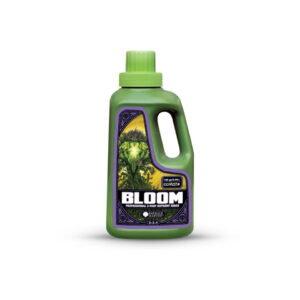 Bloom prof 3 part
