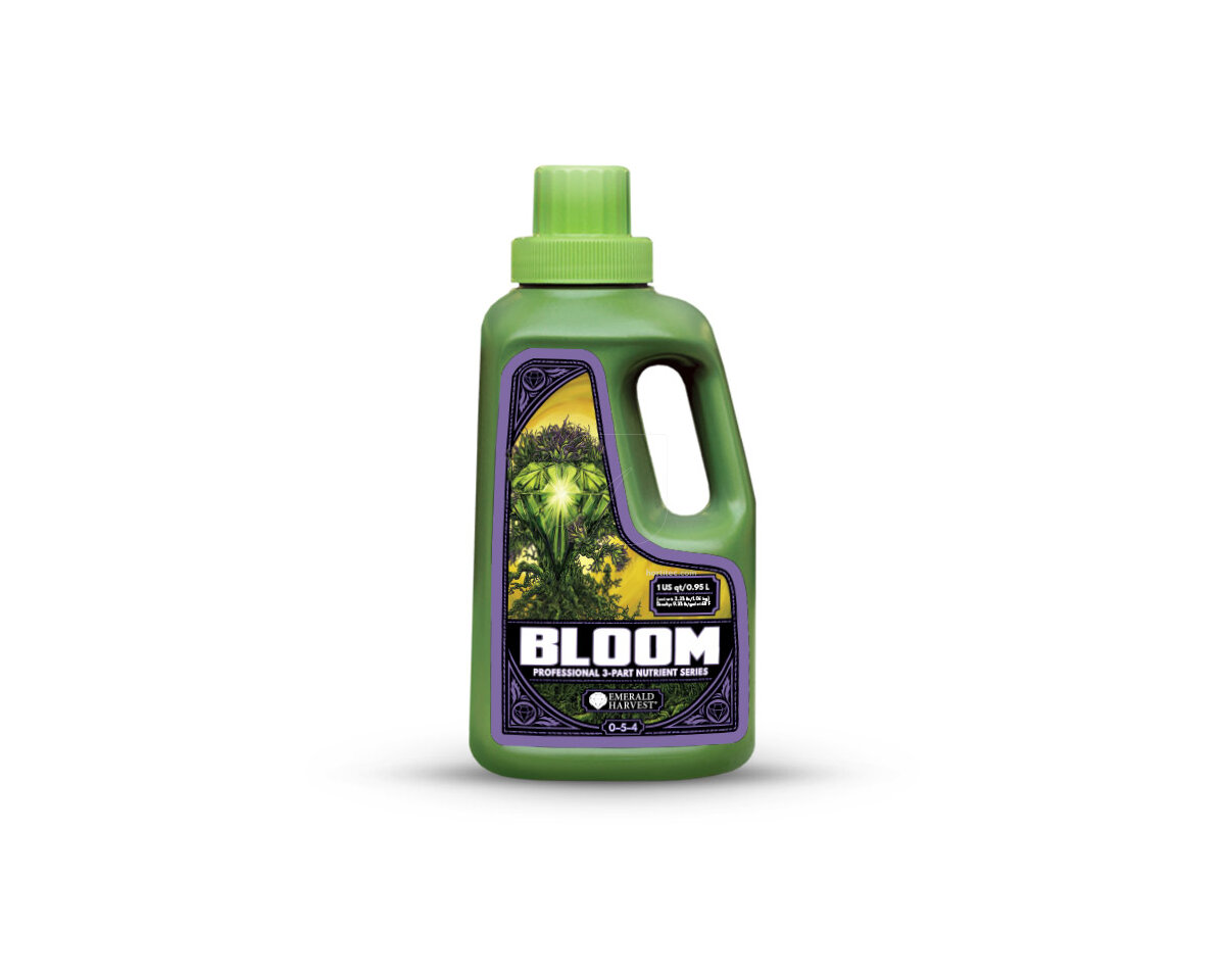 Bloom prof 3 part