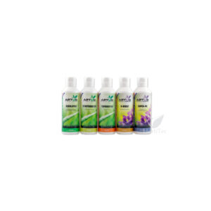 Indoor set basic aptus