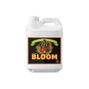 Ph perfect bloom