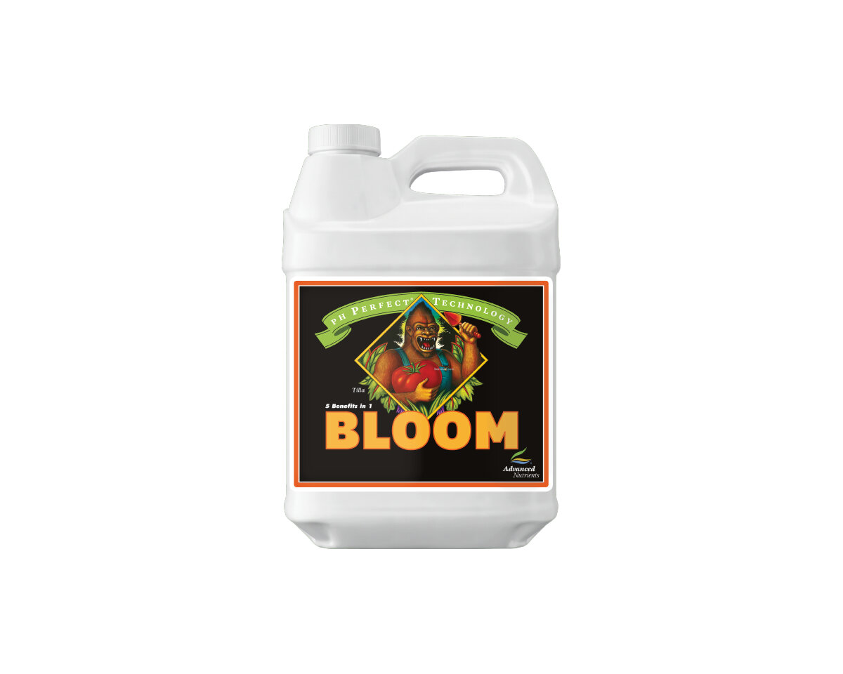 Ph perfect bloom