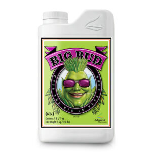 Big bud
