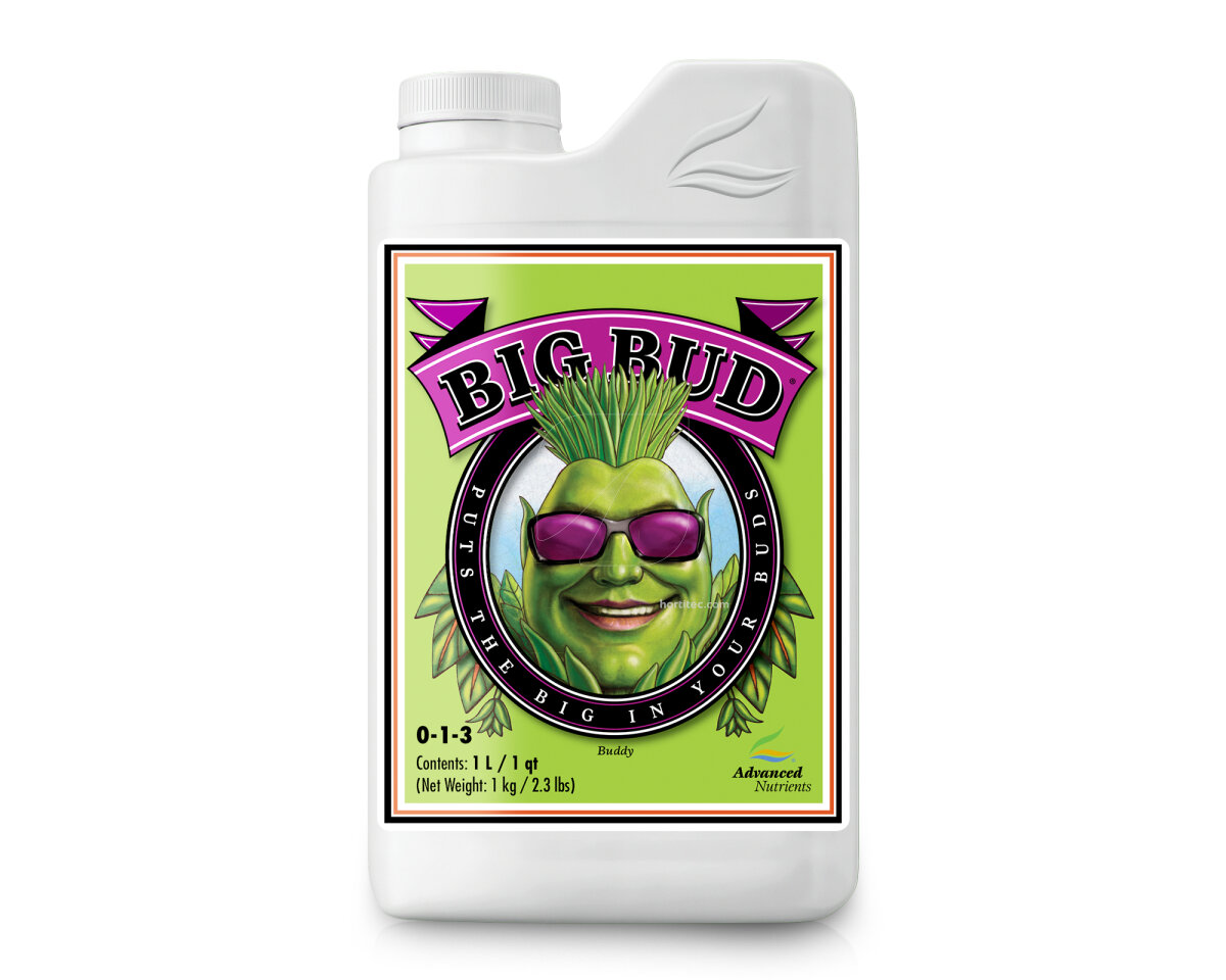 Big bud