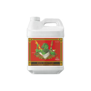 Bud ignitor