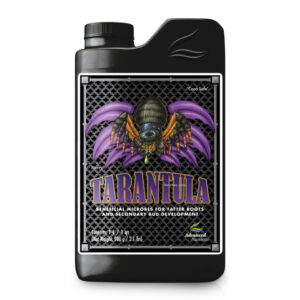 Tarantula