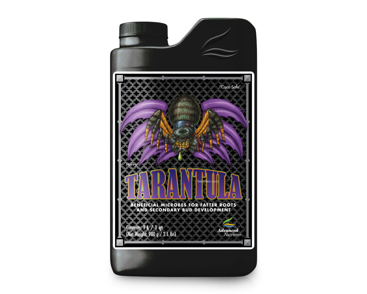 Tarantula