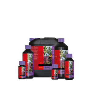 Coco bloom stimulator