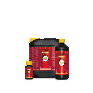 Flavor ata nrg
